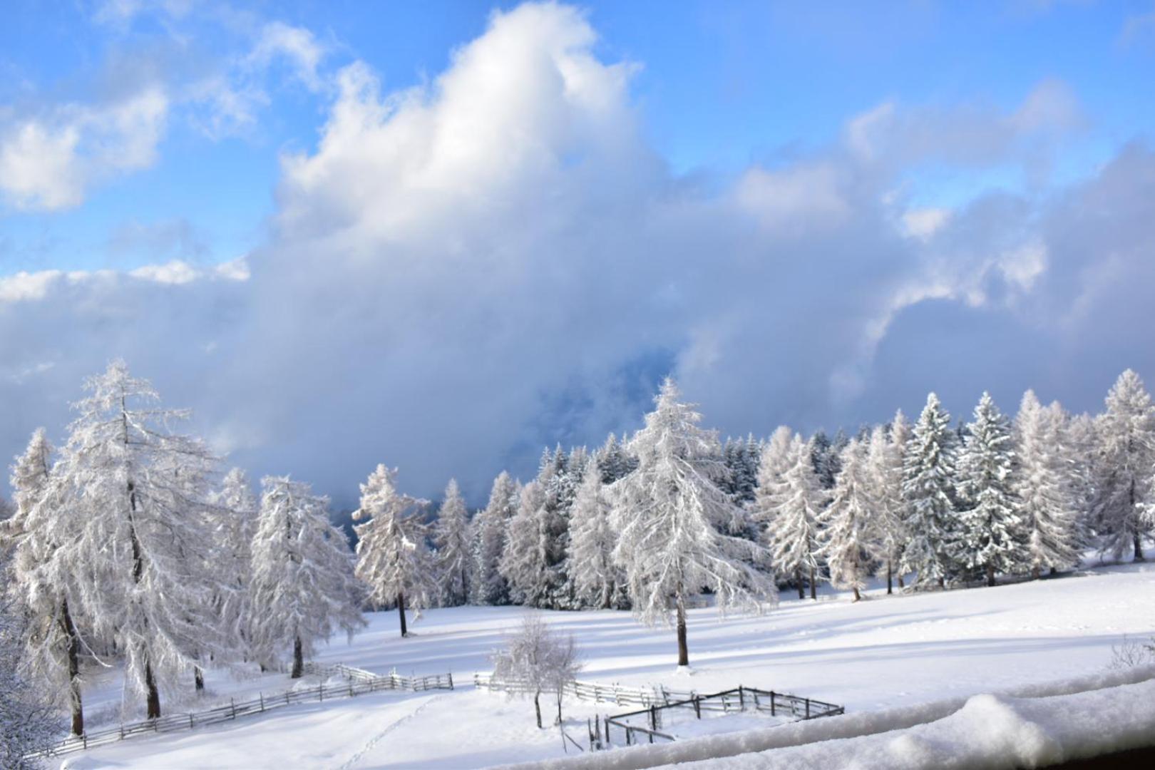 Gasthof Schmiederalm Aldino Εξωτερικό φωτογραφία