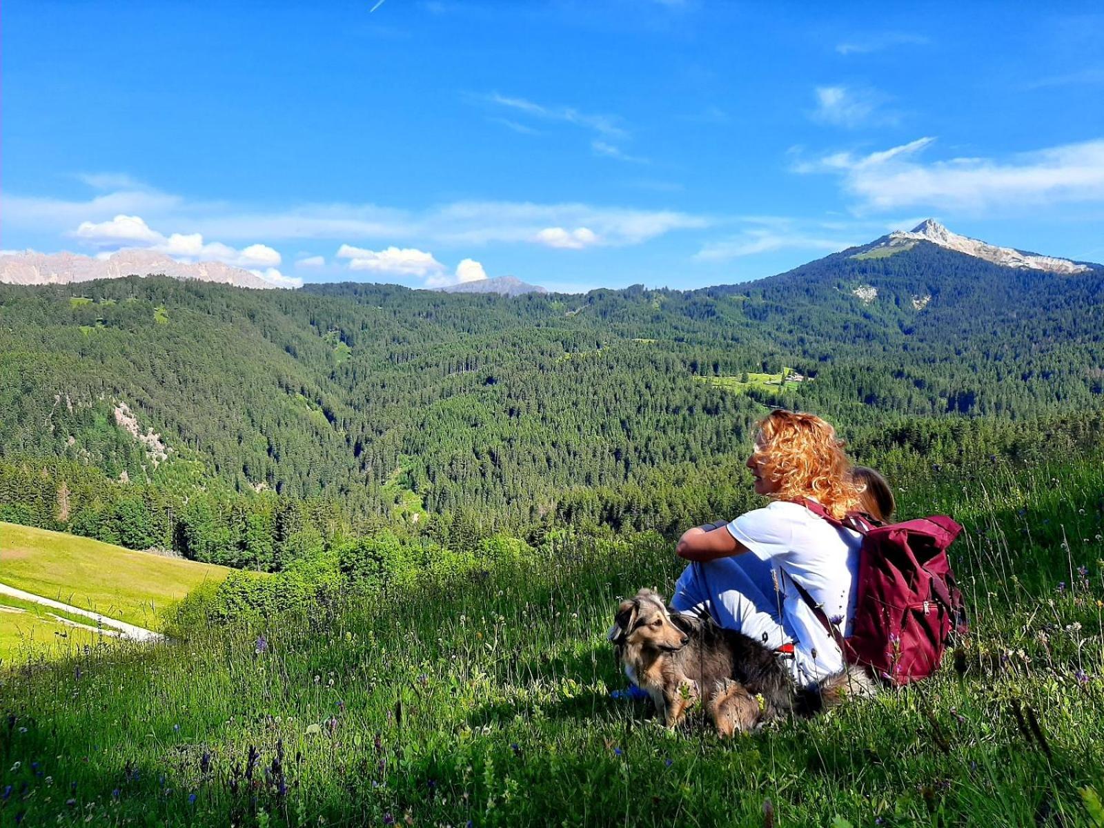 Gasthof Schmiederalm Aldino Εξωτερικό φωτογραφία